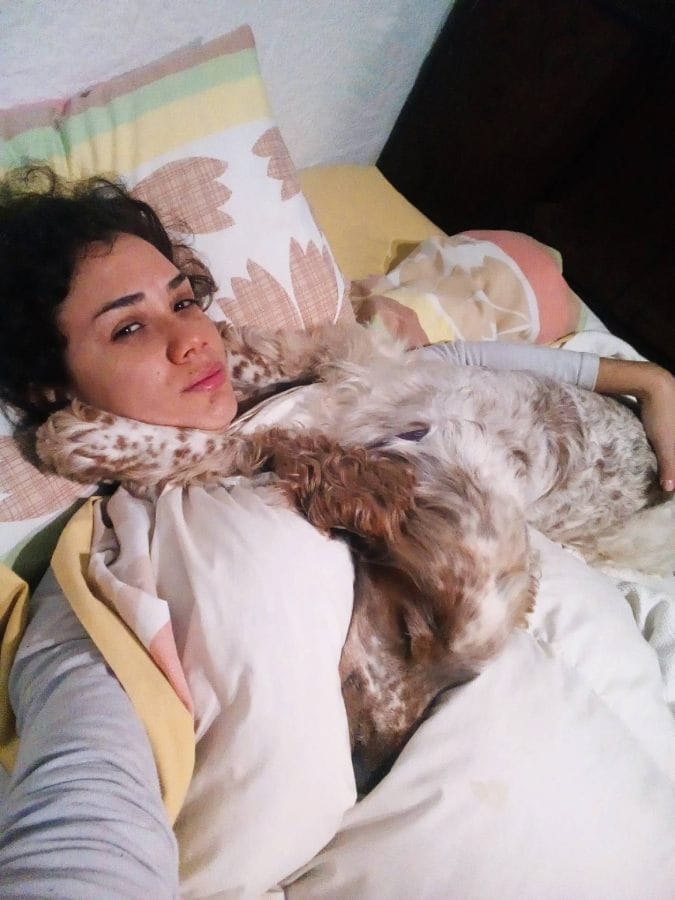 11-optim-como-duermen cual-es-la-posicion-de-dormir-preferida-de-los-perros