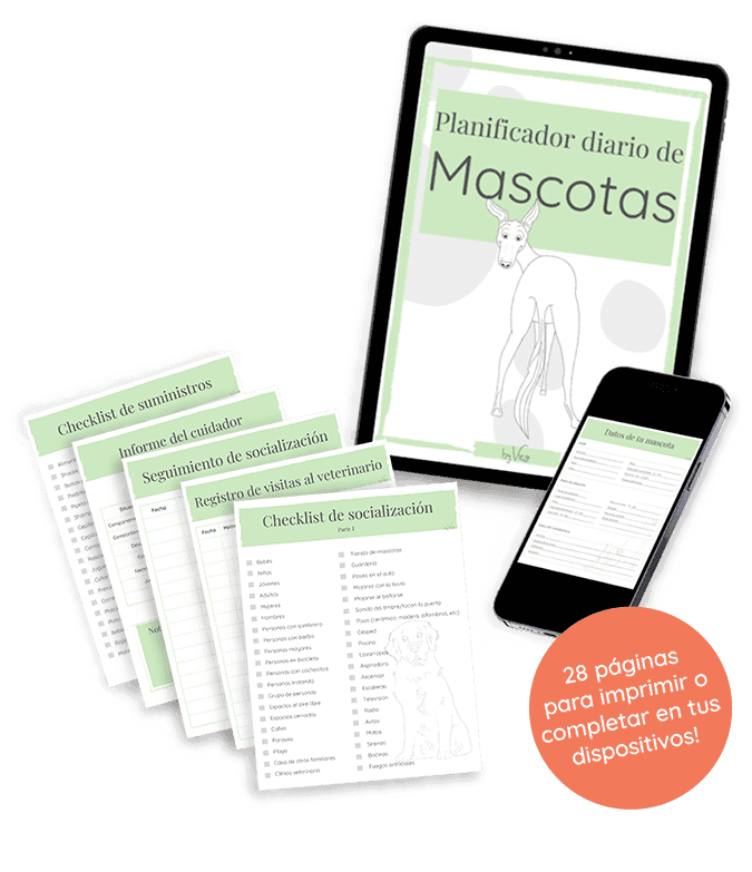 planificador diario de mascotas