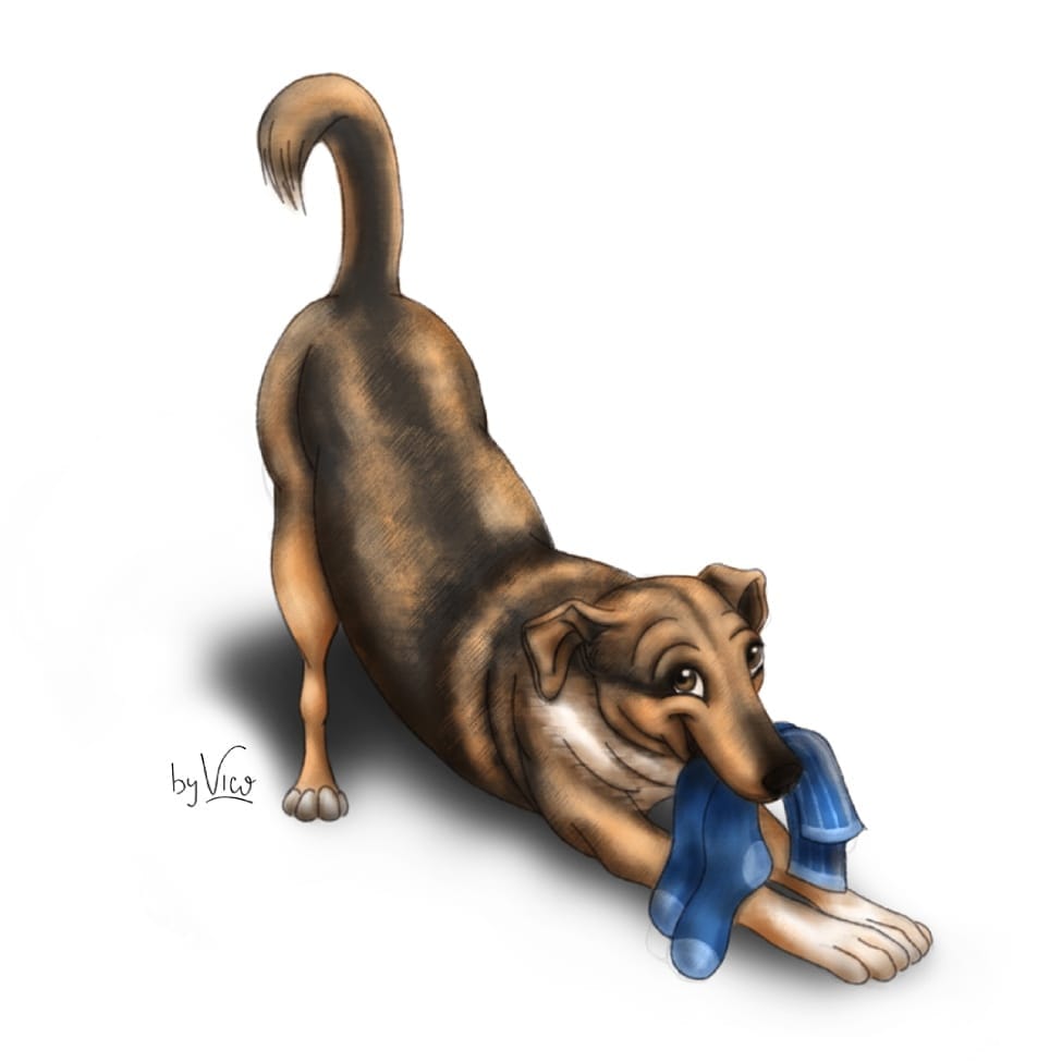 by vico ilustraciones de mascotas