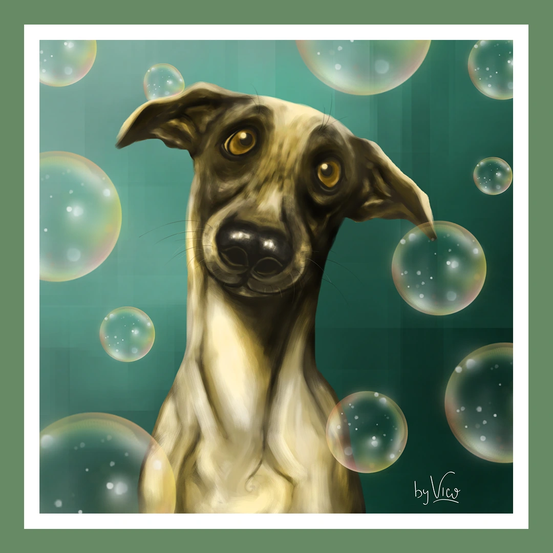 Op-Porfolio By Vico22