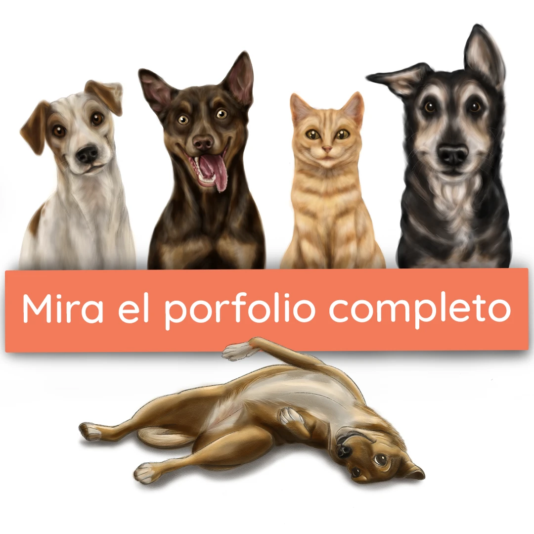 Optim-by Vico Porfolio Web porfolio completo de mascotas by vico