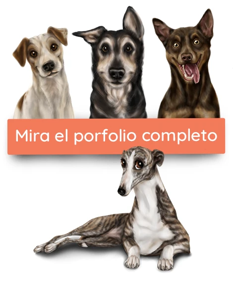 Optim-Botón Porfolio Web porfolio de mascotas by vico