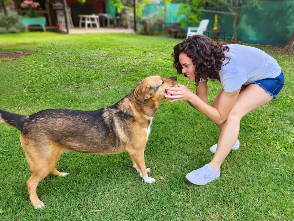 Tener un perro adoptado es un acto de amor inmenso