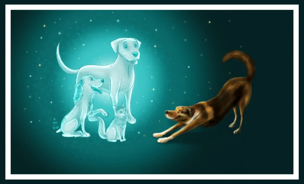 ilustraciones_de_mascotas_personalizadas_porfolio_By_Vico_39