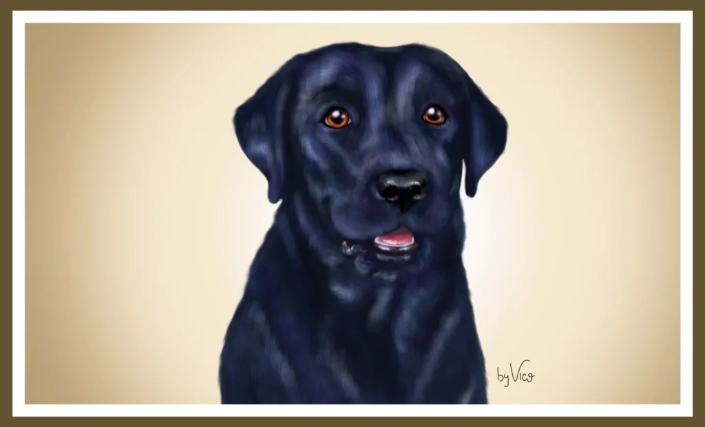 Op-Porfolio By Vico42 ilustraciones_de_mascotas_personalizadas_porfolio_By_Vico_42